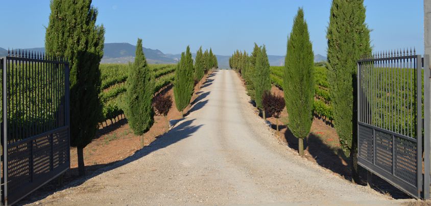Hacienda Grimon, Rioja DOCa, Tor zum Paradies resp. Weinberg